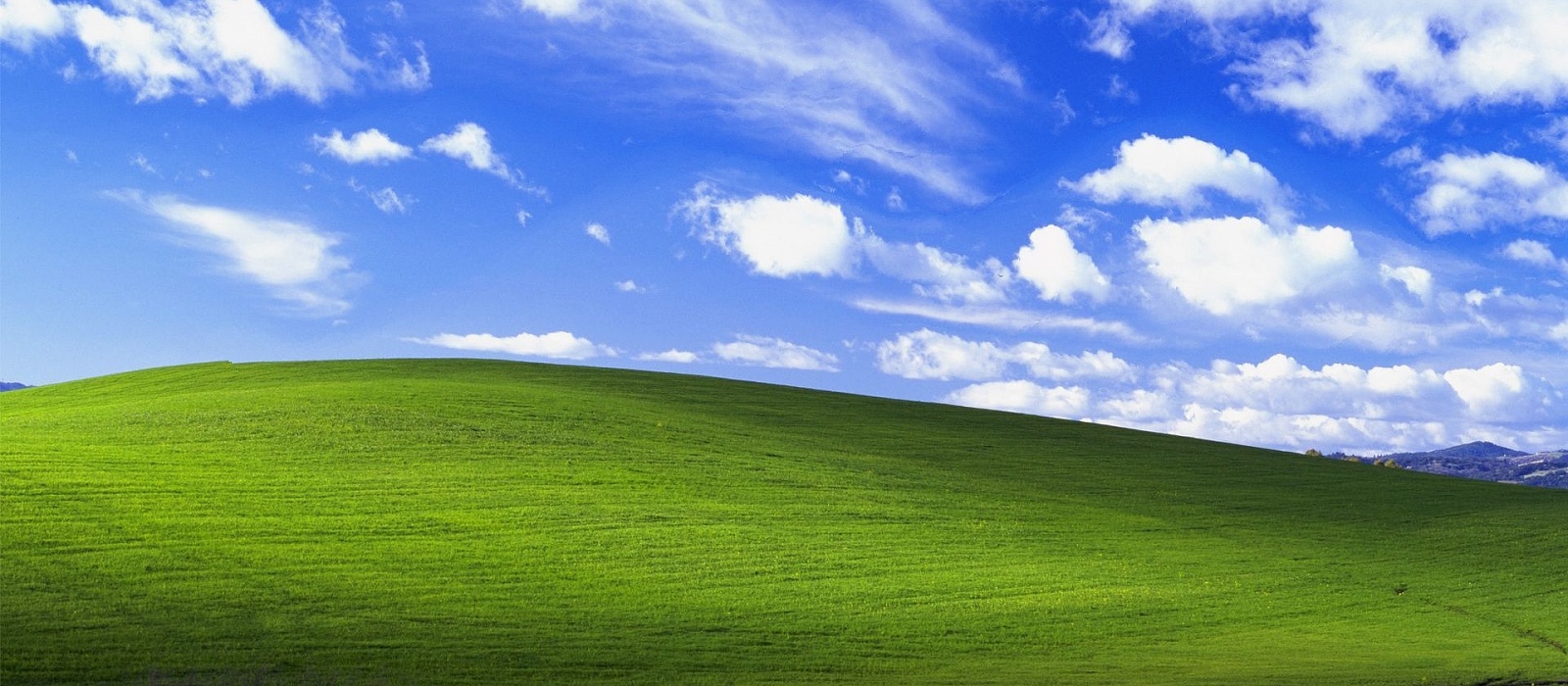 Легендарный холм из обоев для Windows XP нашли в Microsoft Flight Simulator. Сейчас он не такой зеленый