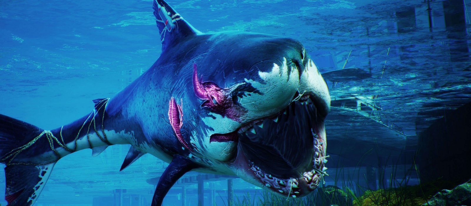 Почувствовать себя акулой в 4K можно будет с момента релиза Xbox Series X/S и PS5