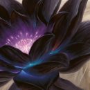 Коллекционер Magic: The Gathering открыл винтажный бустер и получил Черный Лотос, стоимостью от 5000 до 60 000 долларов