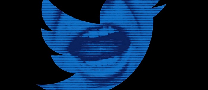 Екатерина Мизулина, РКН и эксперты не исключают полной блокировки Twitter в России