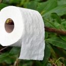 А подсветка будет? Razer вложилась в производство «зеленой» туалетной бумаги