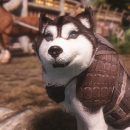 Для Skyrim вышел «лучший мод за последние годы»: он позволяет гладить собак